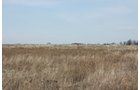 Property photo 17 - 194.67 Acres Offered in 2 Tracts